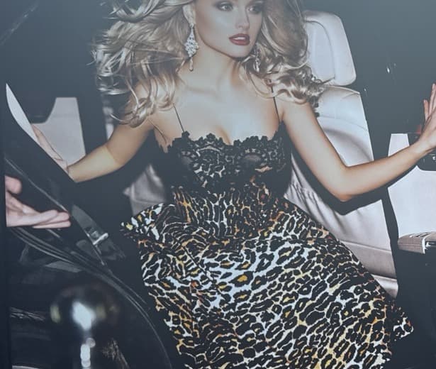 Luxury limousine passenger